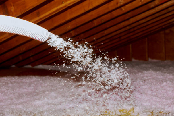 Best Commercial Insulation in Colona, IL