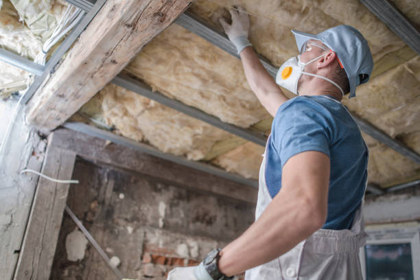 Professional Insulation Contractor in Colona, IL
