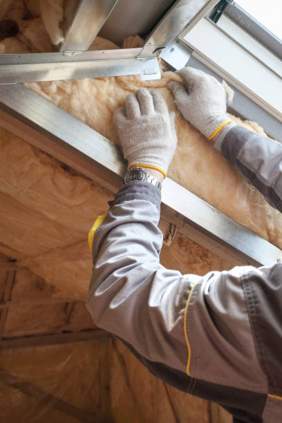 Best Energy Efficiency Insulation in Colona, IL